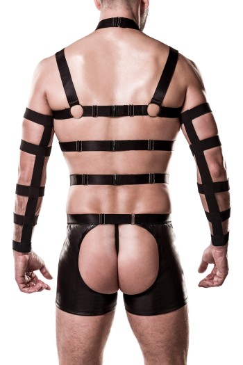 5-teilges Harness-Set 20050 - L/XL